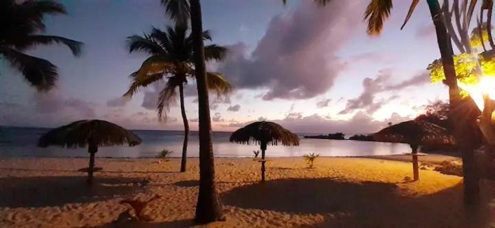 Karibeko : Exceptionnel & Rare : Plage , Piscine, Wifi Prive 생프랑수아 외부 사진
