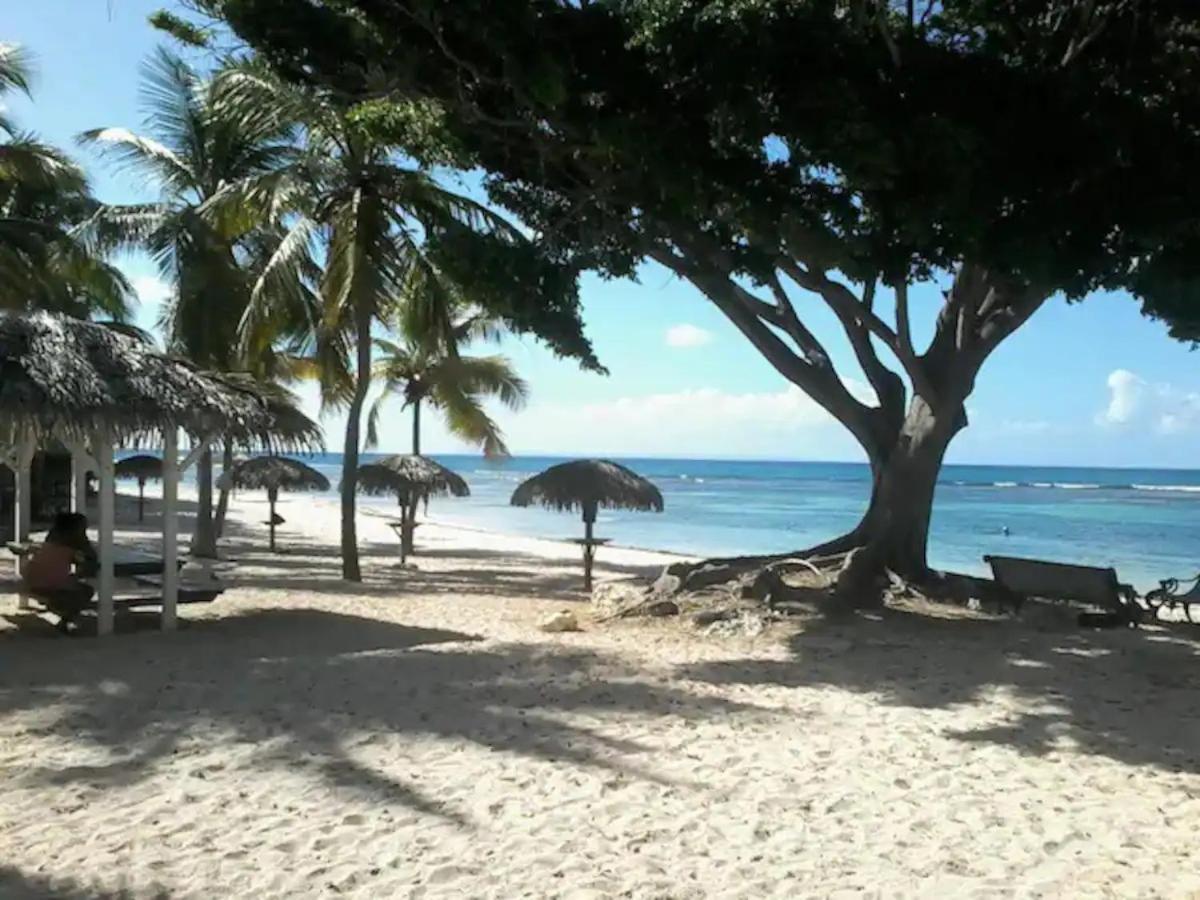 Karibeko : Exceptionnel & Rare : Plage , Piscine, Wifi Prive 생프랑수아 외부 사진